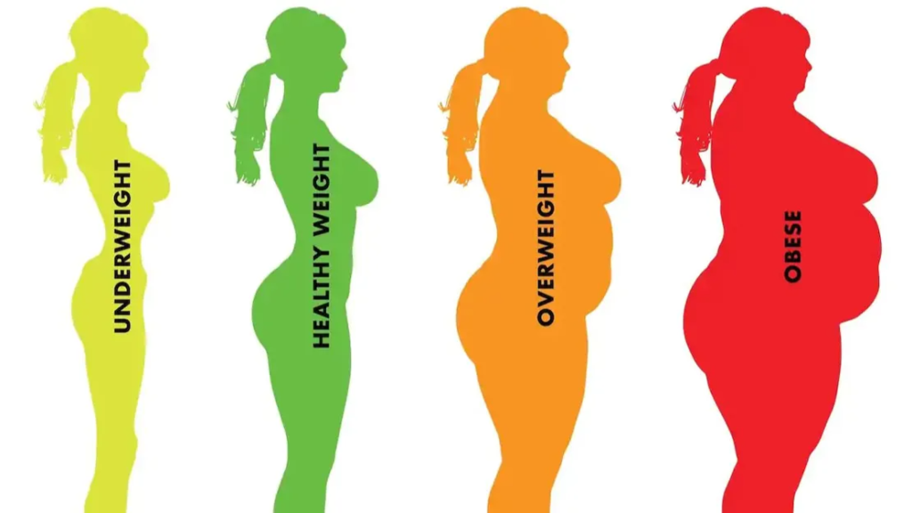 BMI Nedir?